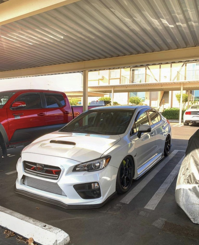 Rian Placheta's 2019 WRX STI Limited