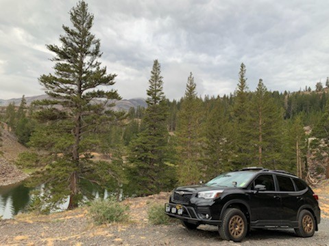 Ernie R's 2021 Forester Limited 