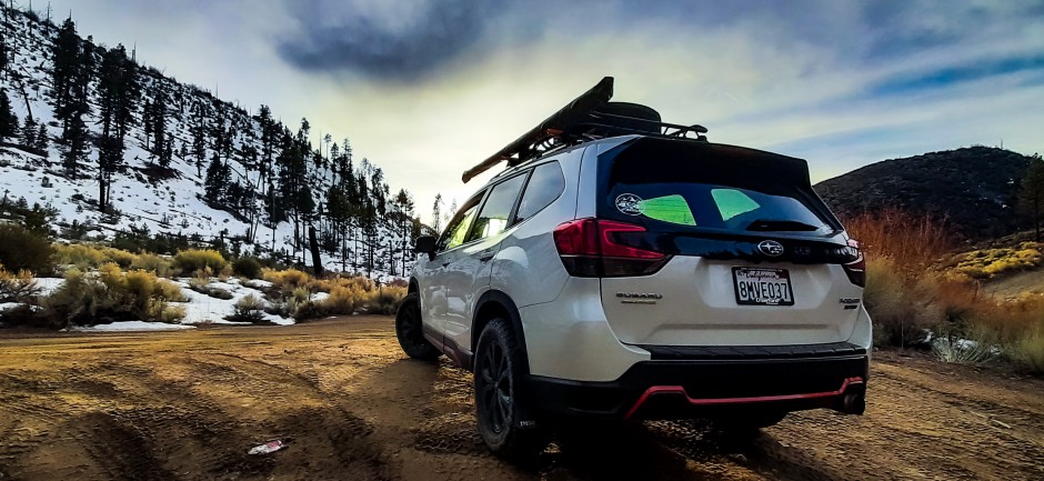 Ian H's 2020 Forester Sport