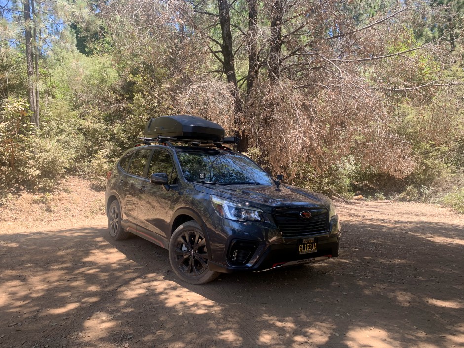 Gell L's 2020 Forester Sports