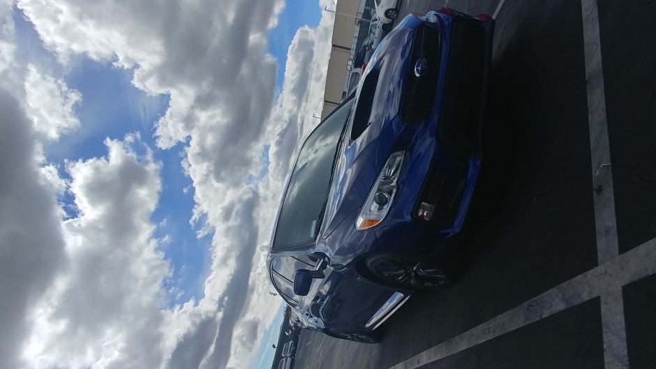 David Hinnaoui's 2018 WRX