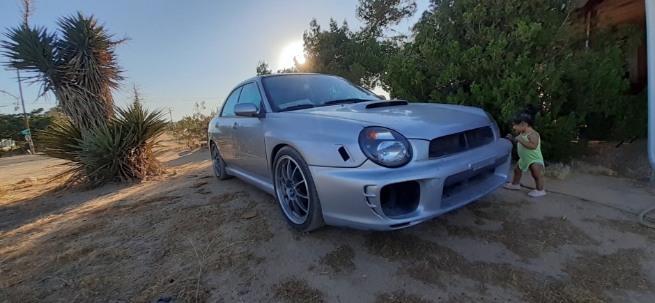 elizabeth S's 2002 Impreza WRX WRX WRX