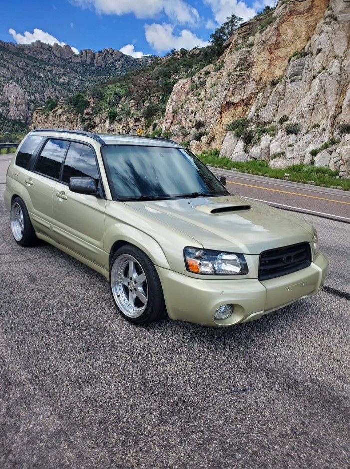 David T's 2004 Forester XT