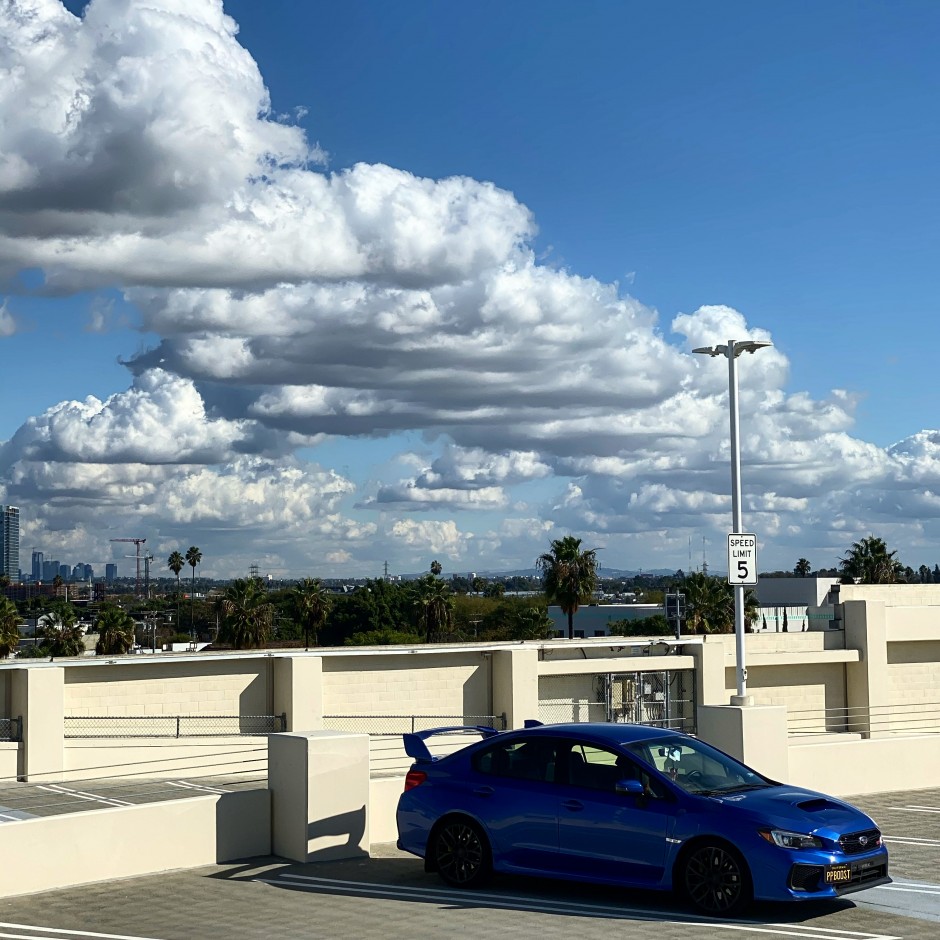 Leon R's 2019 WRX STI