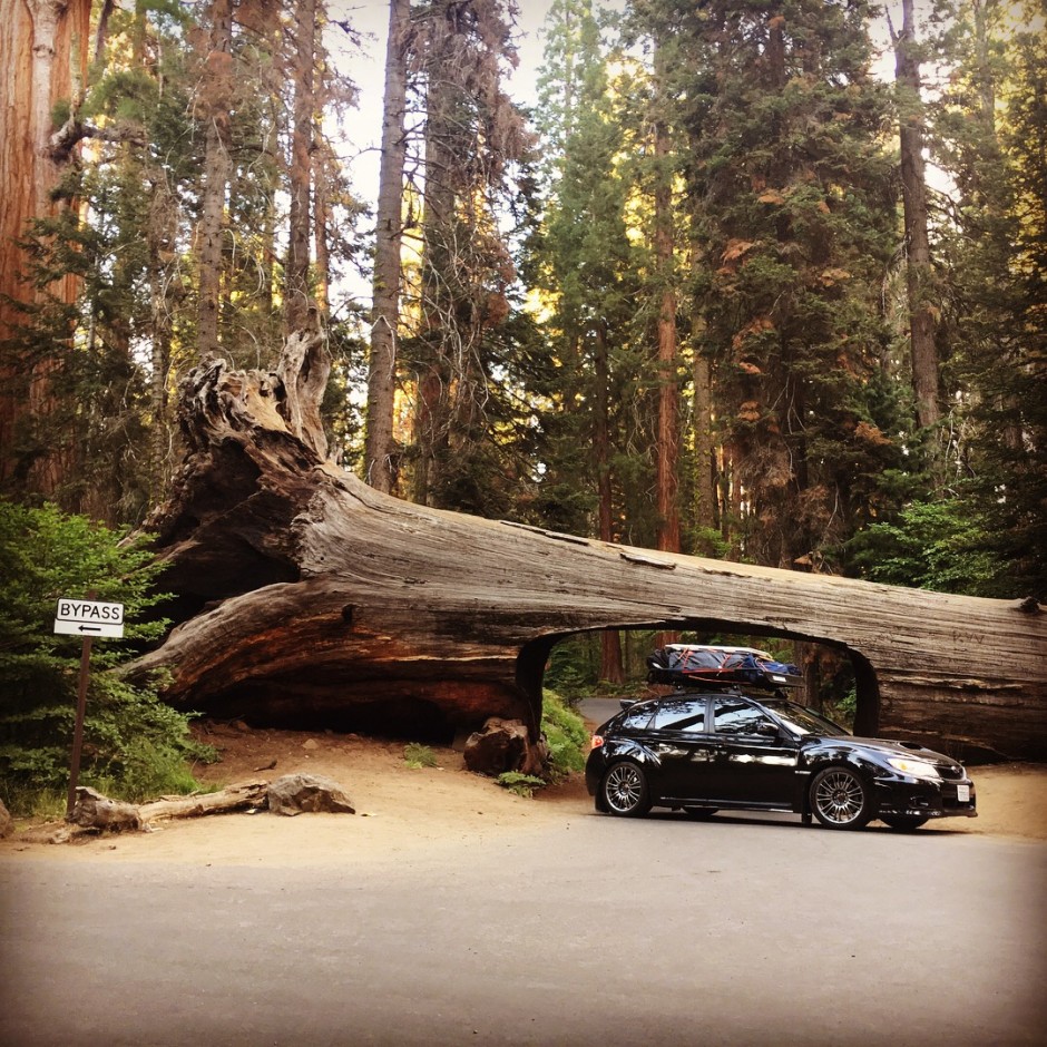 Larry  C's 2012 Impreza WRX