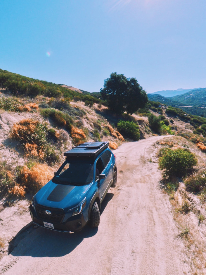 Andrew R's 2023 Forester Wilderness