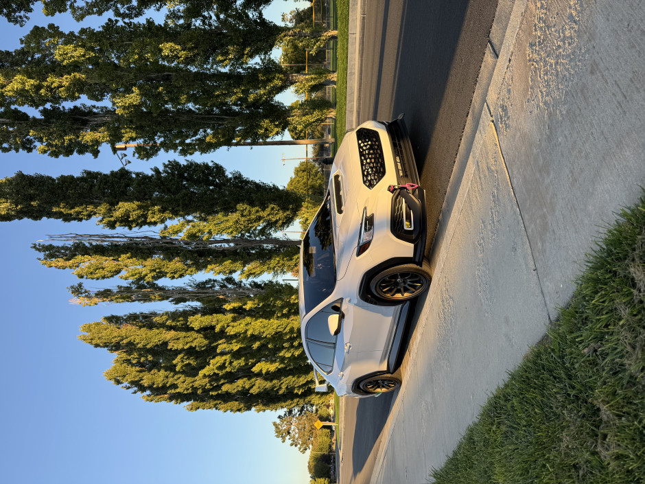 Samantha Strong's 2025 WRX Premium