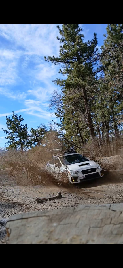 Daniel Moran's 2020 WRX Limited