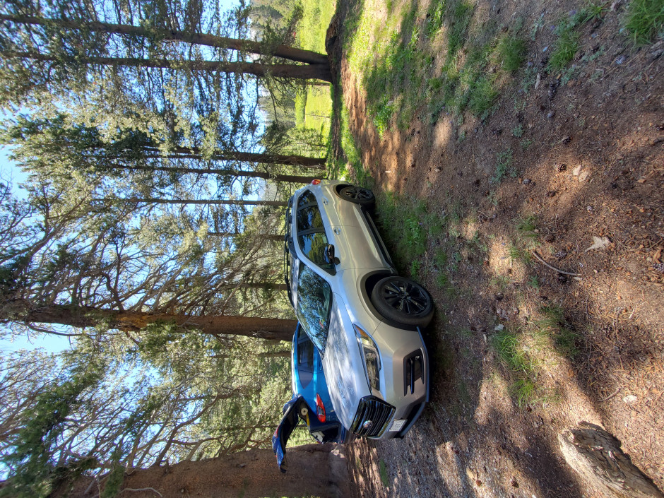 Jose Diaz 's 2020 WRX Premium