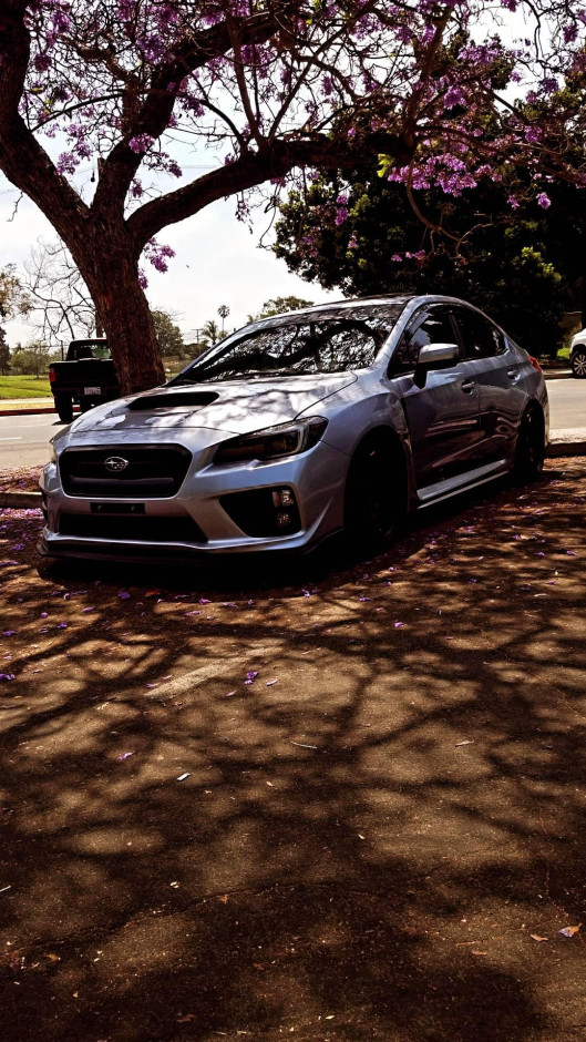 Homer  C's 2016 WRX Premium