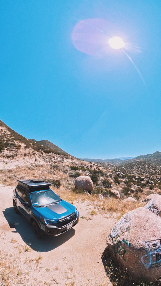 Andrew R's 2023 Forester Wilderness