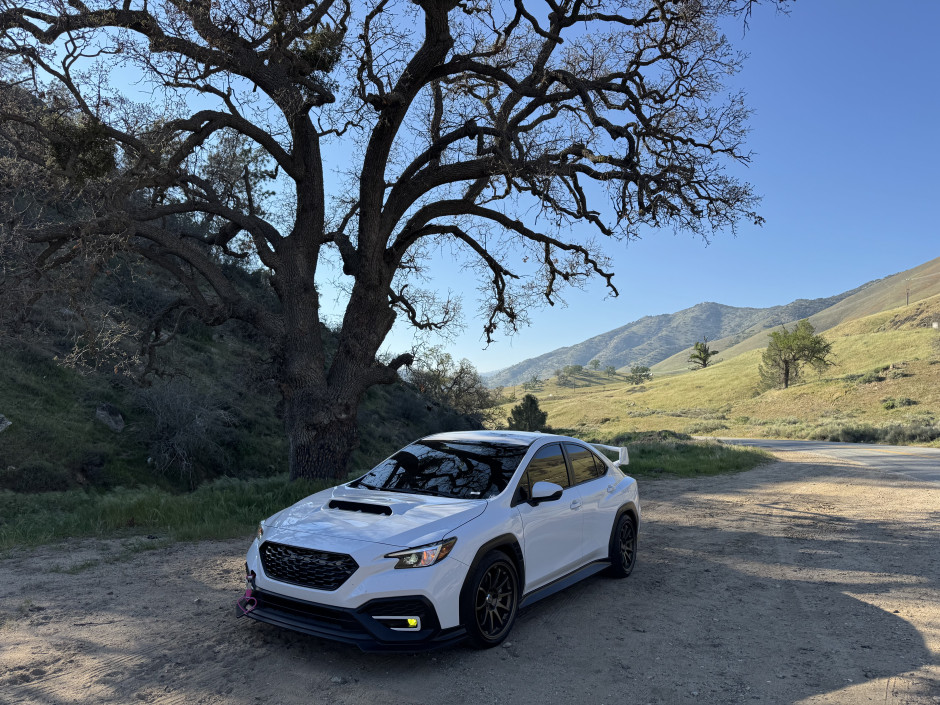 Samantha Strong's 2025 WRX Premium