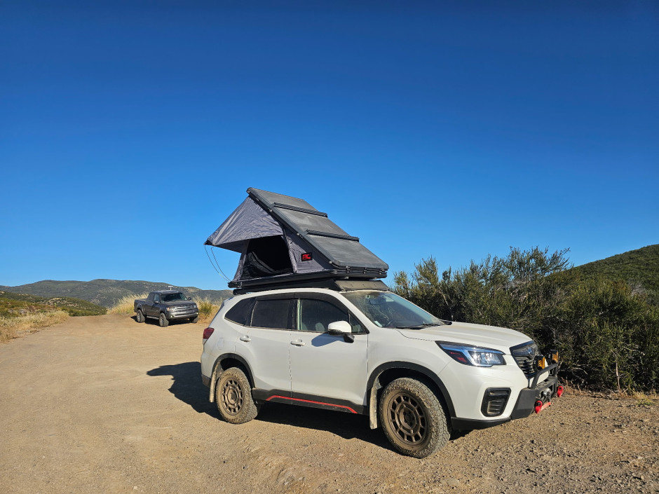 Tessa Nieto's 2020 Forester Sport