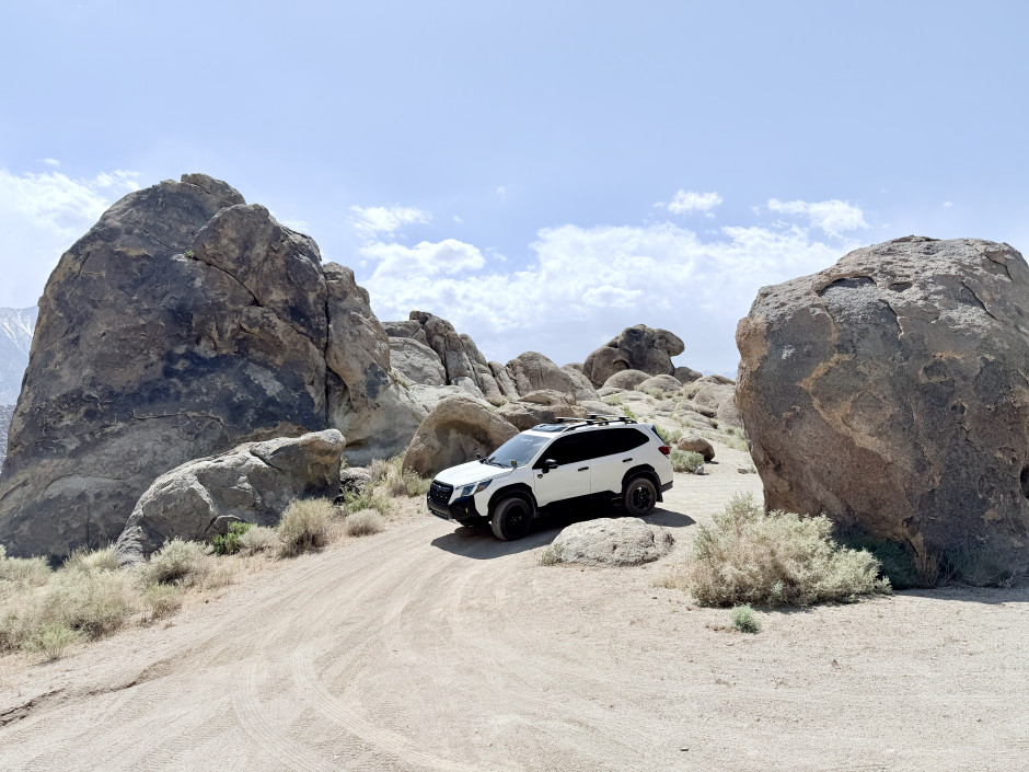 Chad Cruz's 2023 Forester Wilderness