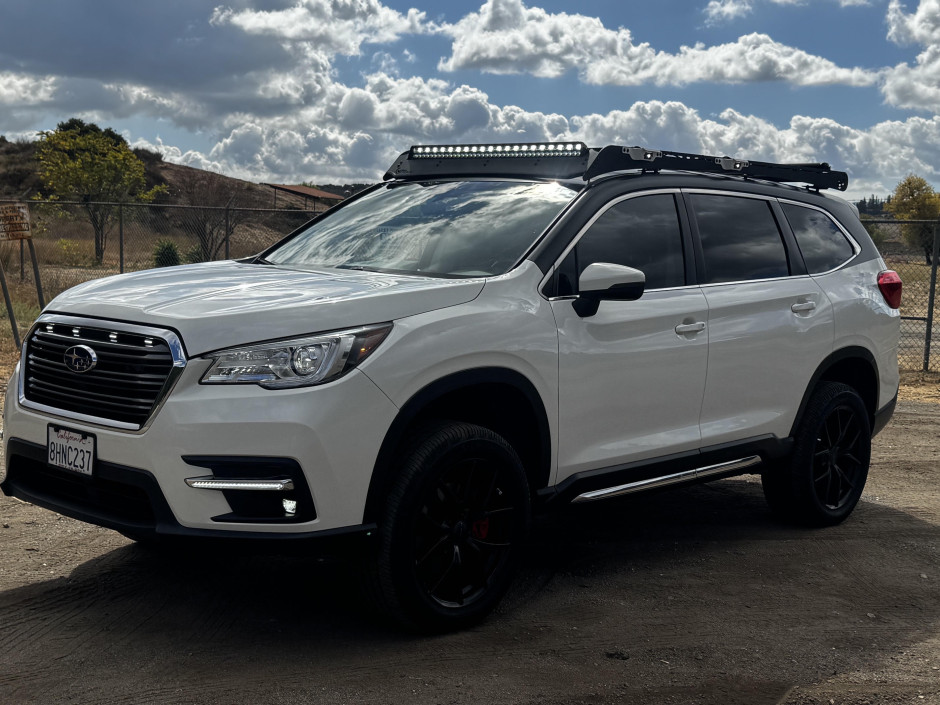 David Blumberg's 2019 Ascent Limited