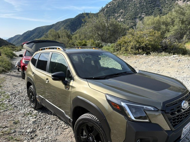 Gil S's 2024 Forester Wilderness