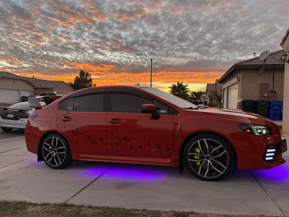Gina M's 2025 WRX STI Premium Premium