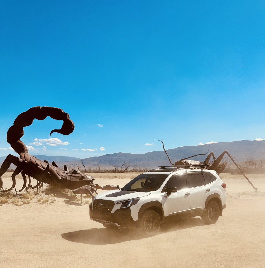 Chad Cruz's 2023 Forester Wilderness