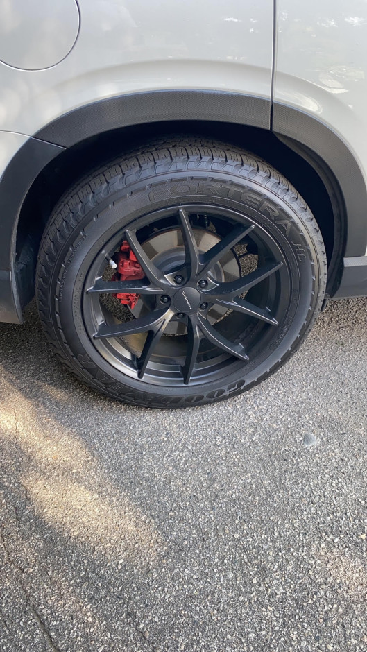 David Blumberg's 2019 Ascent Limited