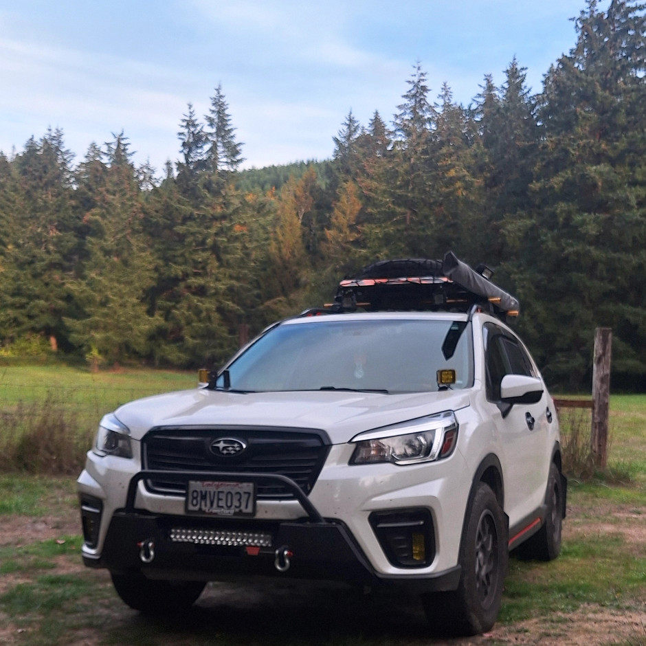 Ian H's 2020 Forester Sport