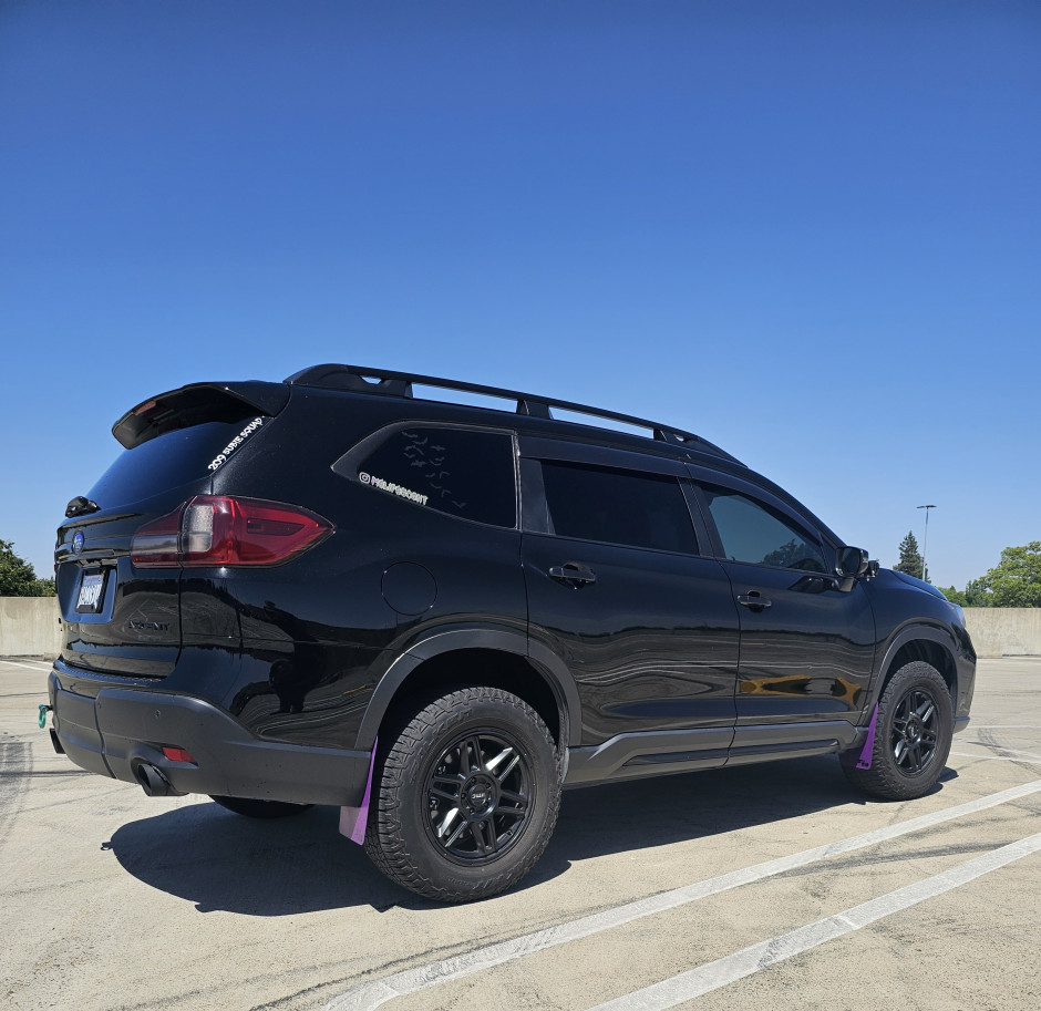 Krystal FIELDS's 2022 Ascent Touring
