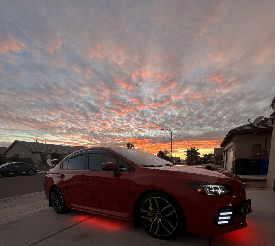 Gina M's 2025 WRX STI Premium Premium