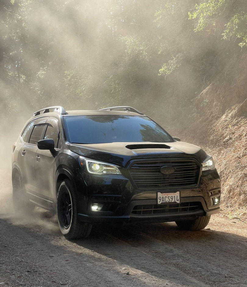 Krystal FIELDS's 2022 Ascent Touring