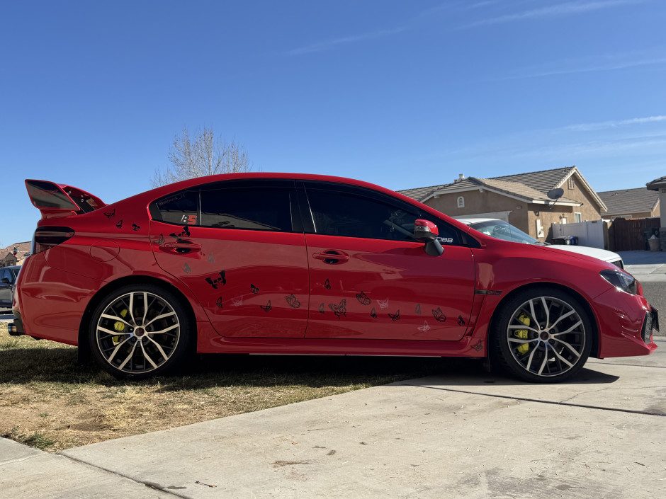 Gina M's 2025 WRX STI Premium Premium