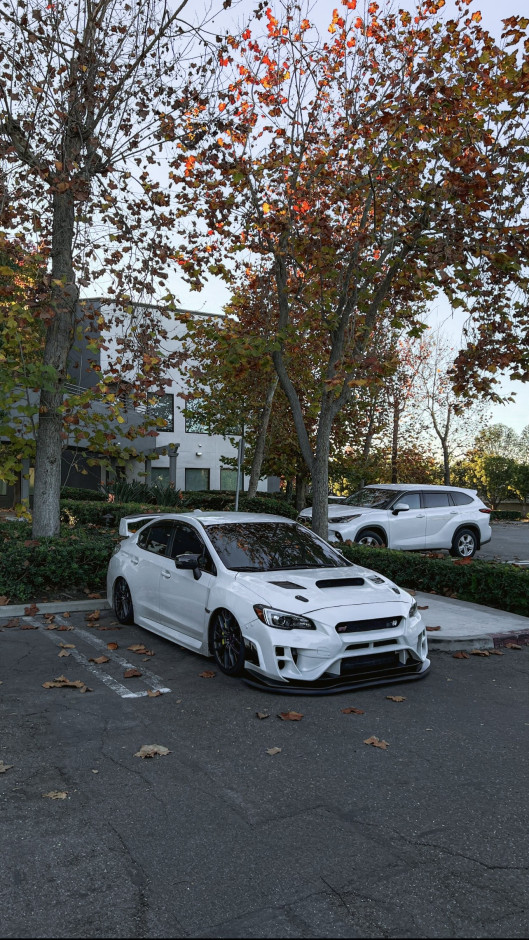 obi  marin's 2019 WRX STI