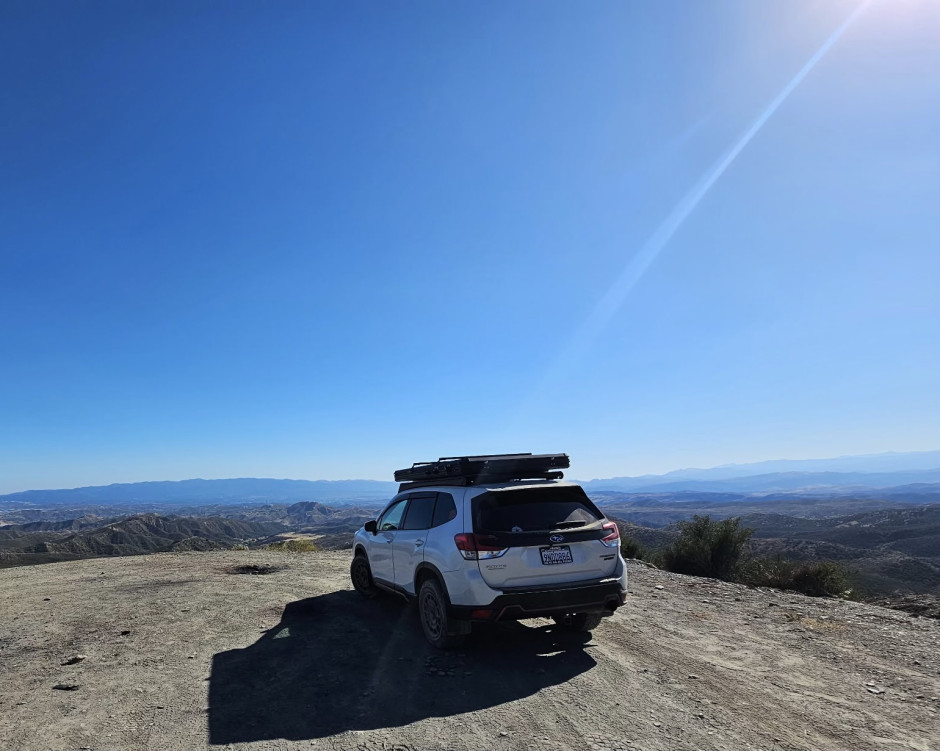 Tessa Nieto's 2020 Forester Sport