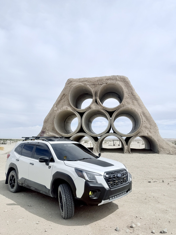 Chad Cruz's 2023 Forester Wilderness