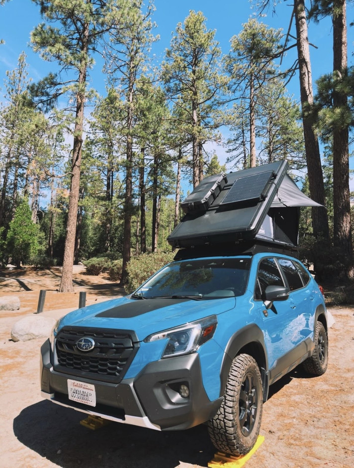 Andrew R's 2023 Forester Wilderness