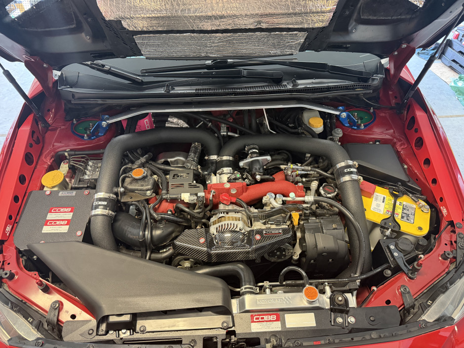Rafael  C's 2019 WRX STI