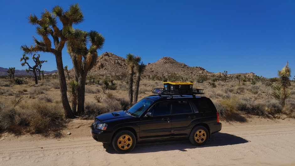 Sean M's 2004 Forester XT