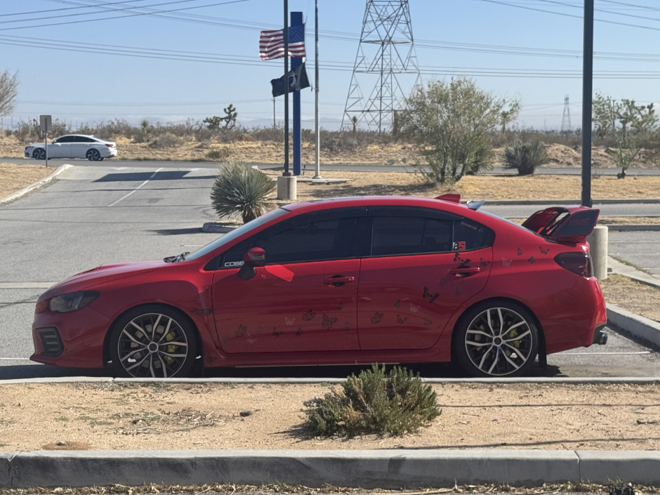 Gina M's 2025 WRX STI Premium Premium