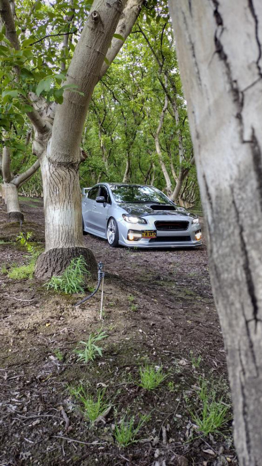 Joseph Salinas's 2015 WRX STI Limited