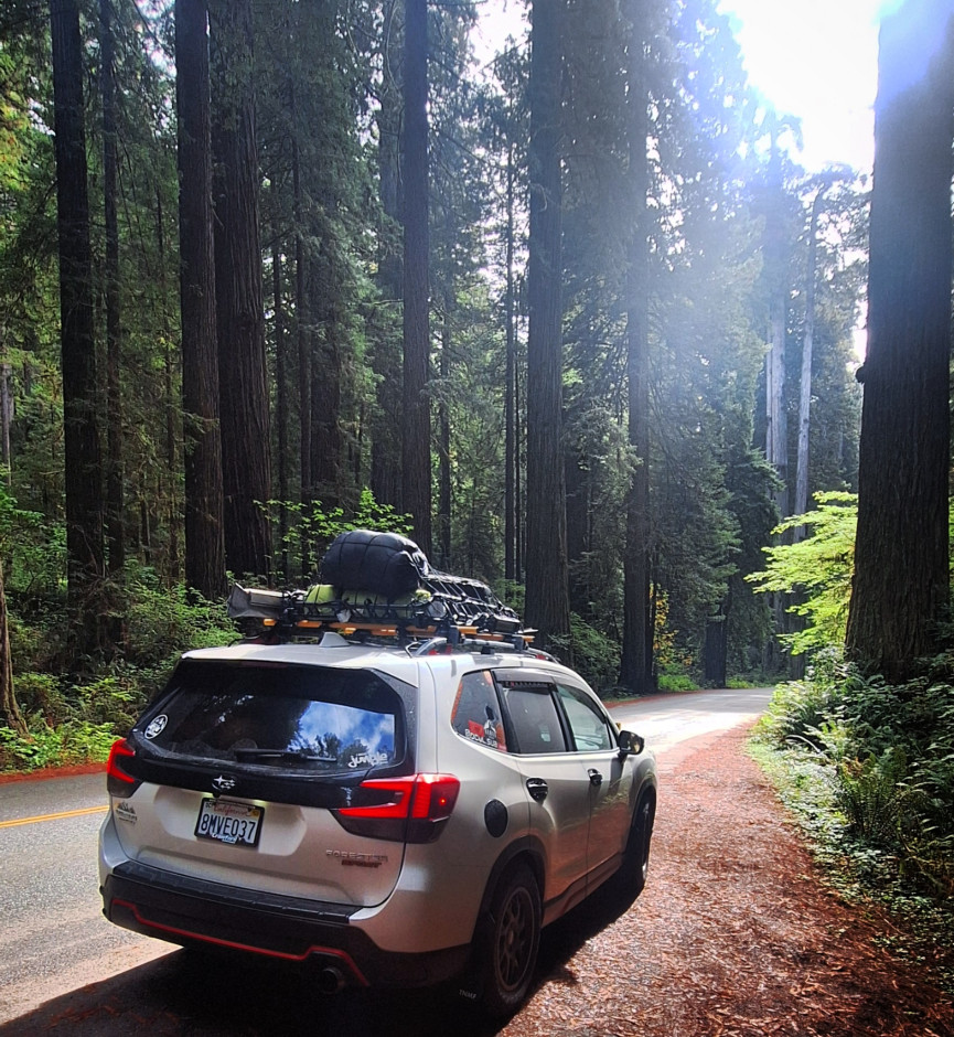 Ian H's 2020 Forester Sport