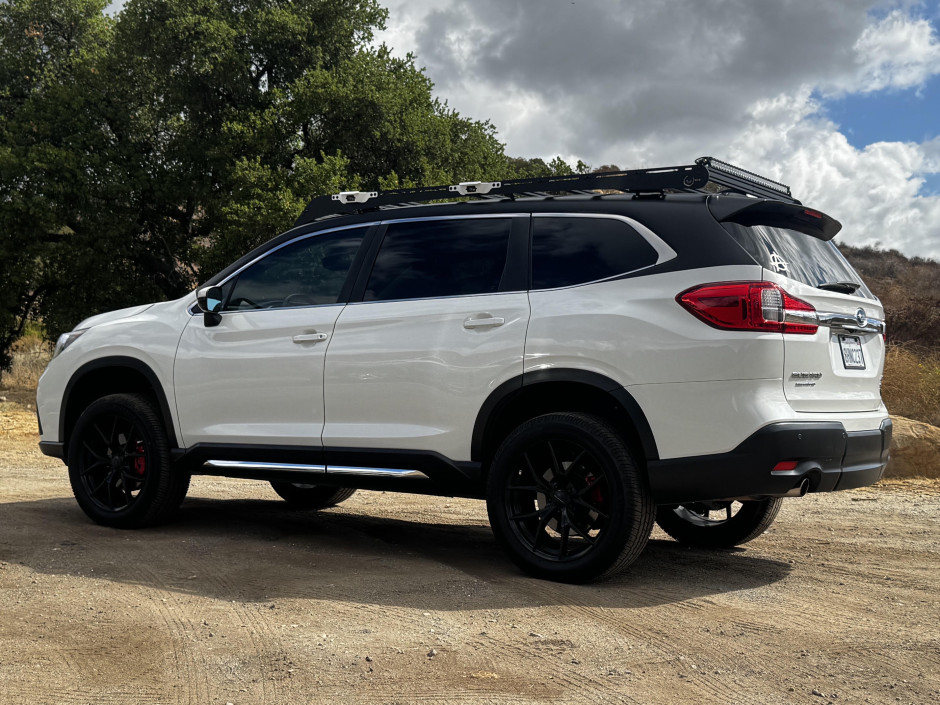 David Blumberg's 2019 Ascent Limited