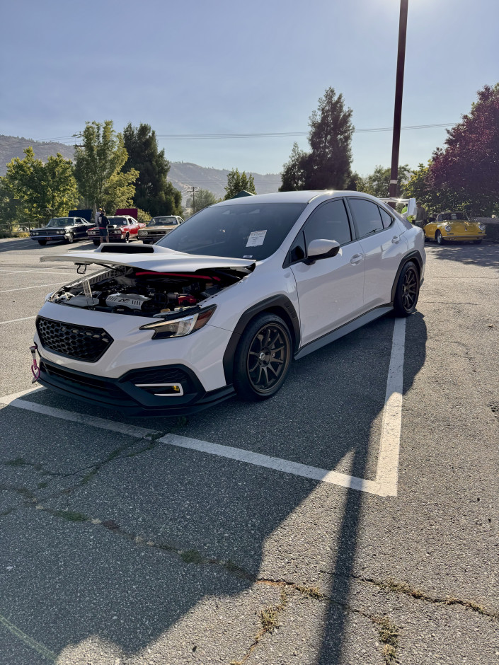 Samantha Strong's 2025 WRX Premium