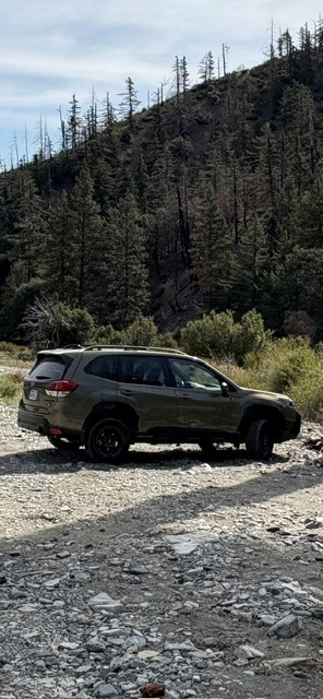 Gil S's 2024 Forester Wilderness