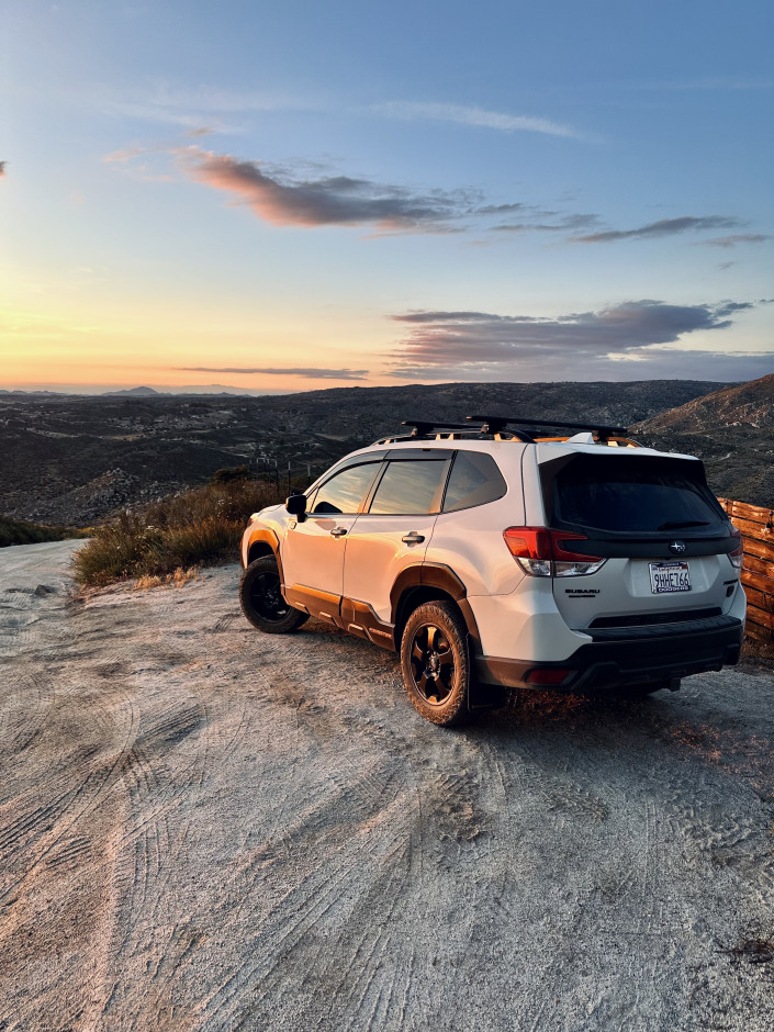 Chad Cruz's 2023 Forester Wilderness
