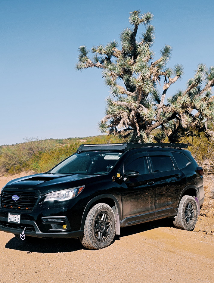 Krystal FIELDS's 2022 Ascent Touring