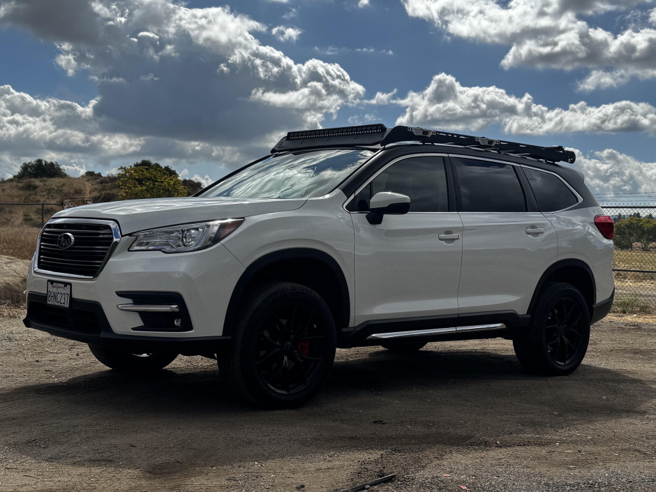 David Blumberg's 2019 Ascent Limited