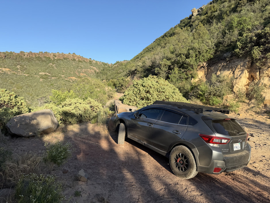 Teresa D's 2023 Crosstrek Limited