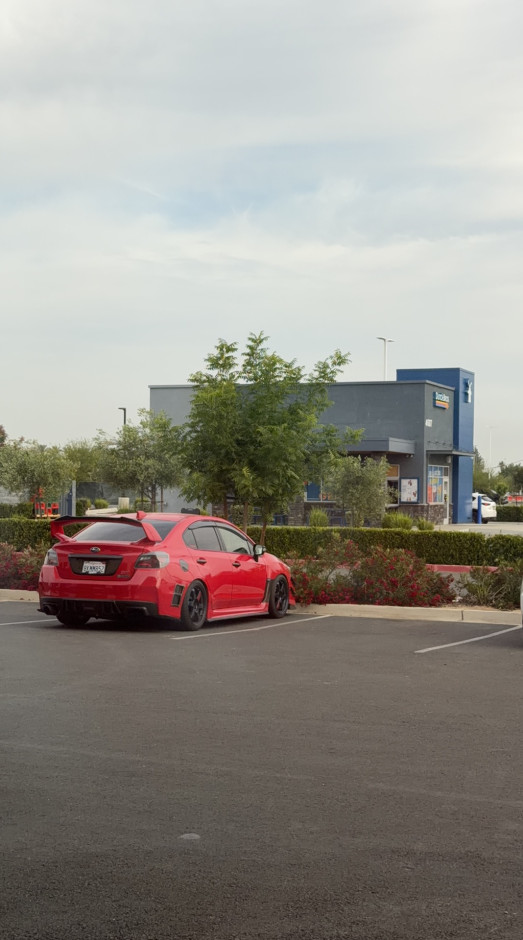 Rafael  C's 2019 WRX STI