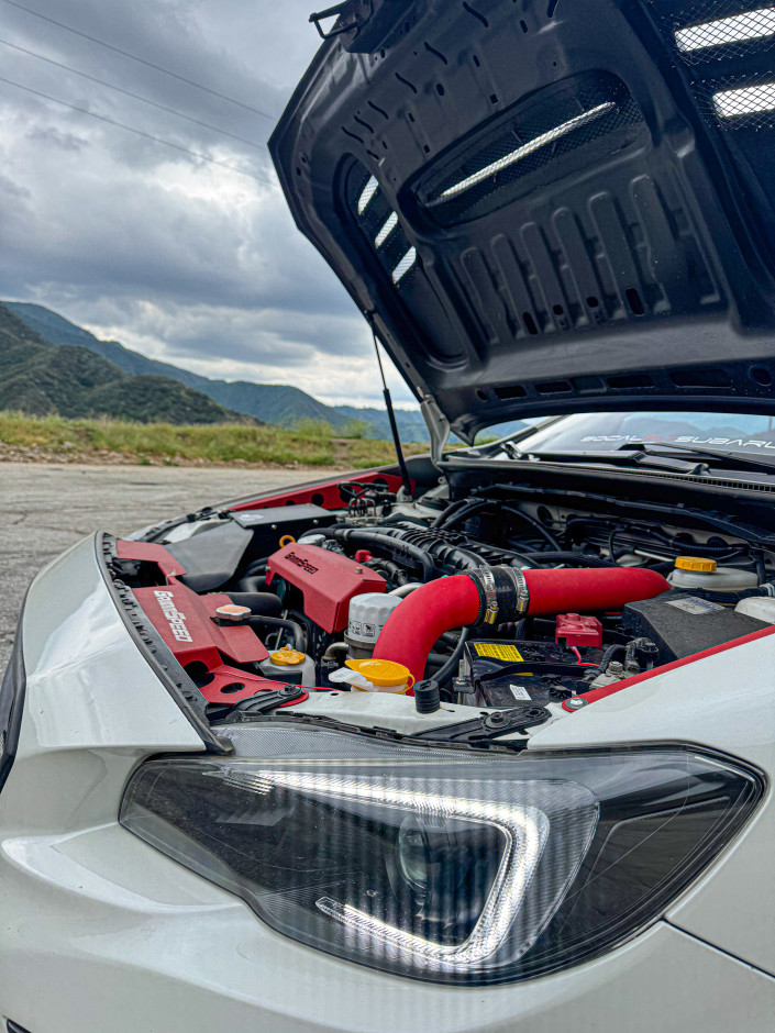 Xavier Roman's 2020 WRX Premium w/performanc