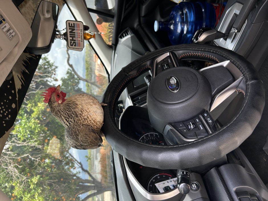 James Arriaga's 2019 Crosstrek Premium