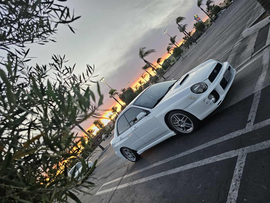Reed Zinzun's 2003 Impreza WRX Premium