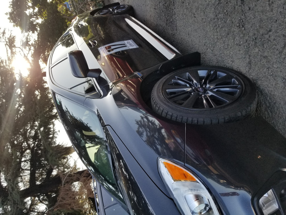 Brett S's 2019 WRX