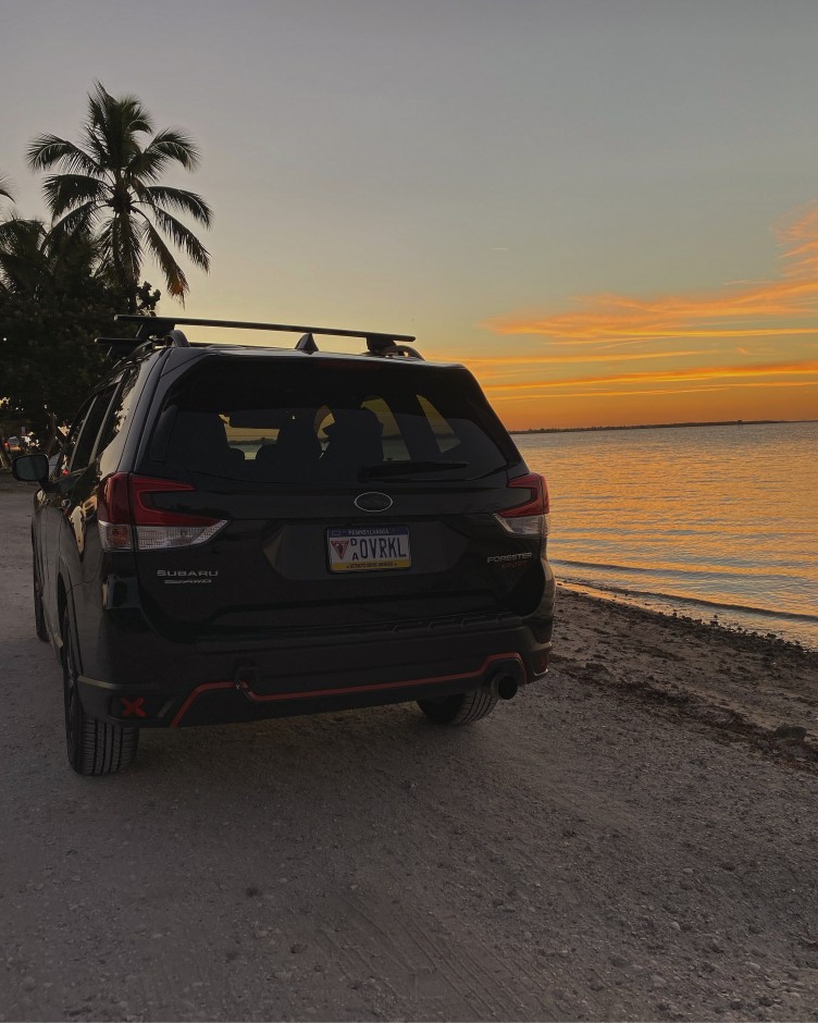 Amar T's 2019 Forester Sport